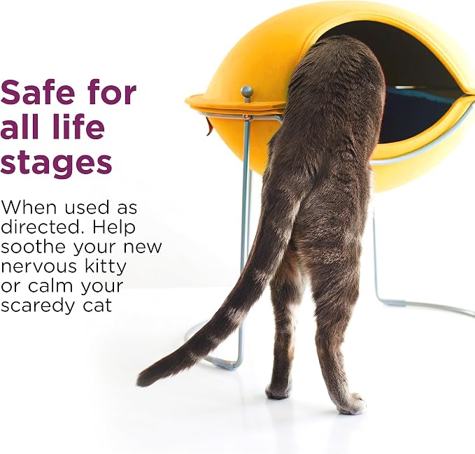 Comfort Zone Cat Calming Spray for kittens & cats, 118 mL, Value Size | Calming spray for cats, helps reduce urine marking and scratching on furniture, expert recommended, drug- and fragrance-free