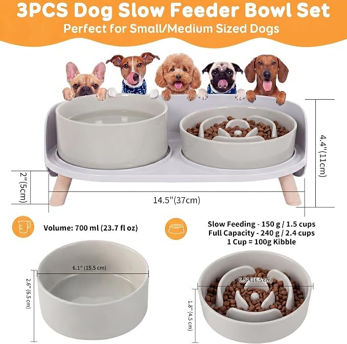Elevated Slow Feeder Dog Bowls - Ceramic Food and Water Bowl Set with Stand - Raised Pet Dishes for Small and Medium Sized Dogs