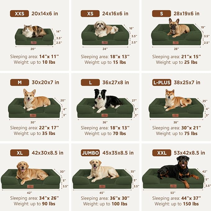 Comfort Expression Orthopedic Dog Bed for Medium Size Dog with Bolster | Waterproof Dog Couch Bed with Washable Cover & Non-Slip Bottom, Supportive Egg Crate Foam Medium Pet Bed, 30x20 Inch