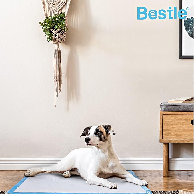 BESTLE Extra Large Pet Training and Puppy Pads Pee Pads for Dogs 30"x36" Super Absorbent & Leak-Proof, 30 Count