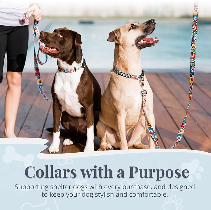 Lucky Love Dog - Adjustable Dog Collar with Easy Click Buckle for Small Ones, Durable, & Comfortable for Male & Female Dogs, Pet Collar for Puppies & Adult Dogs - Blackbird, X-Small