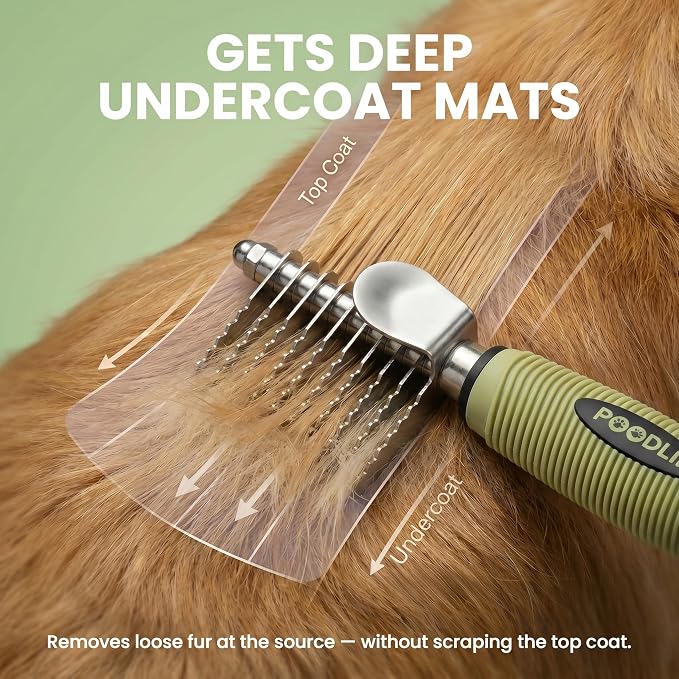 Poodle Dematting Fur Rake Comb Brush for Dogs and Cats - Long 2.5" Steel Safety Blades Metal Comb for Detangling Matted or Knotted Undercoat Hair (Green)