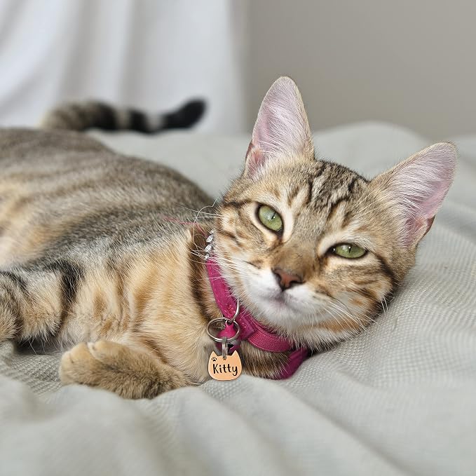 Anavia Cat Head & Fish Shape Pet ID Tags, Personalized Funny Icon Design Cat Name Tag, Customized Gold Plated Glossy Stainless Steel Black Rainbow Cat Dog Collar Tag (Small, Cat Head Shape, Gold)