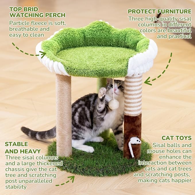 WOOCHPET 20" Small Cat Tree for Kittens, Cute Green Mini Kitty Tower with Removable Washable Perch Bed, 3 Sisal Scratching Posts, Toy Mouse for Small Indoor Cats