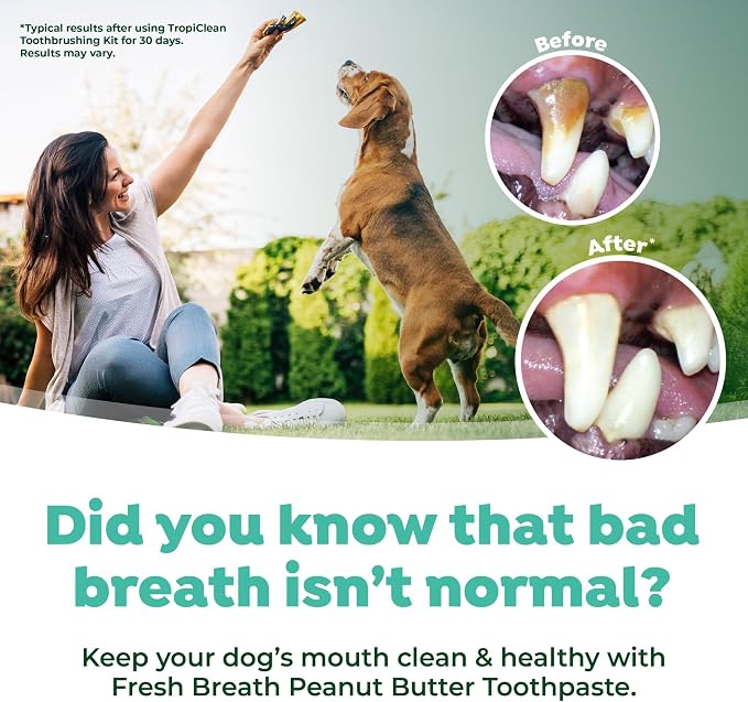 TropiClean Fresh Breath Oral Care Kit - Soft Bristle Finger Toothbrush - Dog Tooth Brushing Kit - Peanut Butter and Honey Flavor Dog Toothpaste