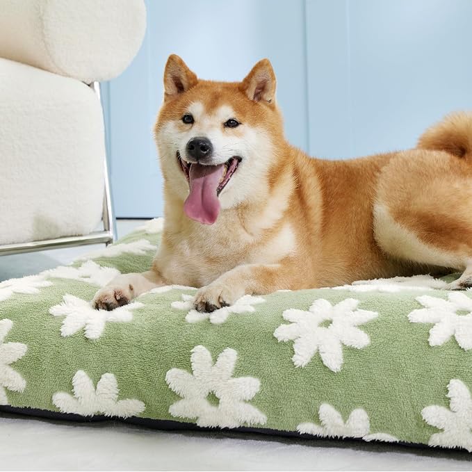 LE SURE Dog Beds Large Sized-Thick Shredded Chopped Foam Pet Bed Indoor as Bed Gift with Removable Cover, Cute Modern Fuzzy Plush & Anti Slip Bottom, Green