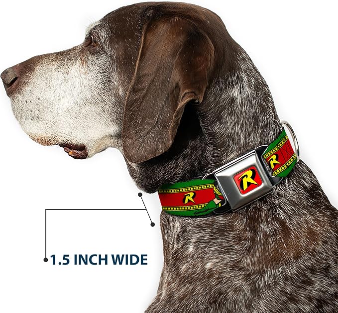 DC Comics Pet Collar, Dog Collar Metal Seatbelt Buckle, Robin Action Pose Logo Stripe Green Yellow Red Black, 13 to 17 Inches 1.5 Inch Wide