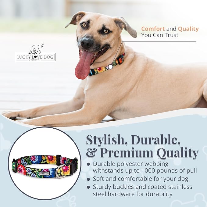 Lucky Love Dog - Adjustable Dog Collar with Easy Click Buckle for Large Ones, Durable, & Comfortable for Male & Female Dogs, Pet Collar for Puppies & Adult Dogs - Blackbird, Extra Large