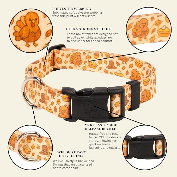 Country Brook Petz - Happy Harvest Everyday Dog Collar - Made in the U.S.A. - Awesome Autumn Collection Featuring Designs You Will Fall for (1/2 Inch, Extra Small)
