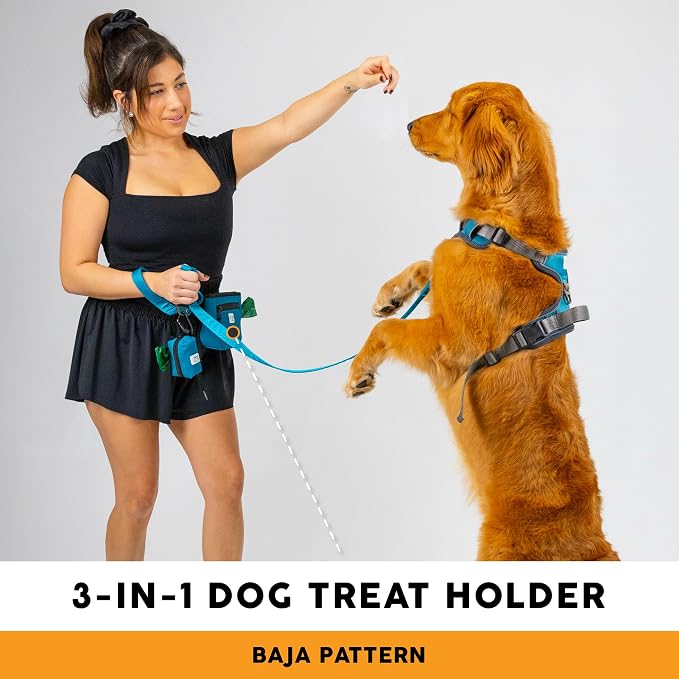 Embark Dog Treat Pouch - Waterproof Training Bag & Portable Water Bowl | Leakproof Treat Bag with Hook, Magnetic Closure, Extra Pocket for Phone & Keys with Poop Bag Outlet For Dogs - Black