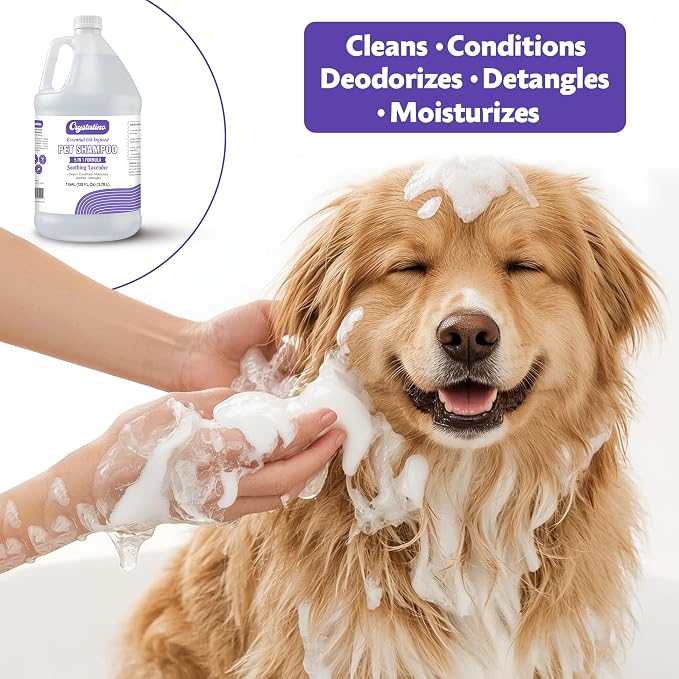 Dog Shampoo Conditioner - Lavender - (1 Gallon) Pet Shampoos for Dogs, Oatmeal Dog & Puppy Shampoo Sensitive Skin and Itchy Skin Relief, Bath Supplies for Dogs Wash, Moisturizing for Pets