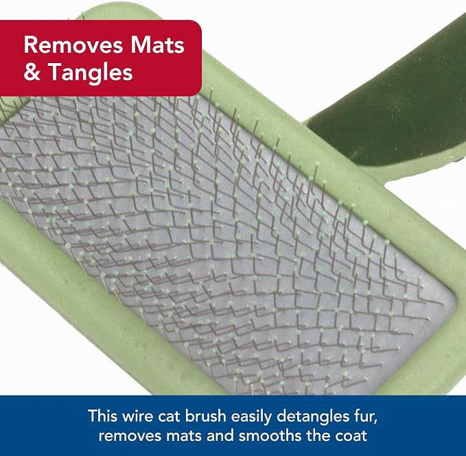 Coastal Pet Safari - Cat Soft Slicker Brush (6.5 x 3.5 Inches)