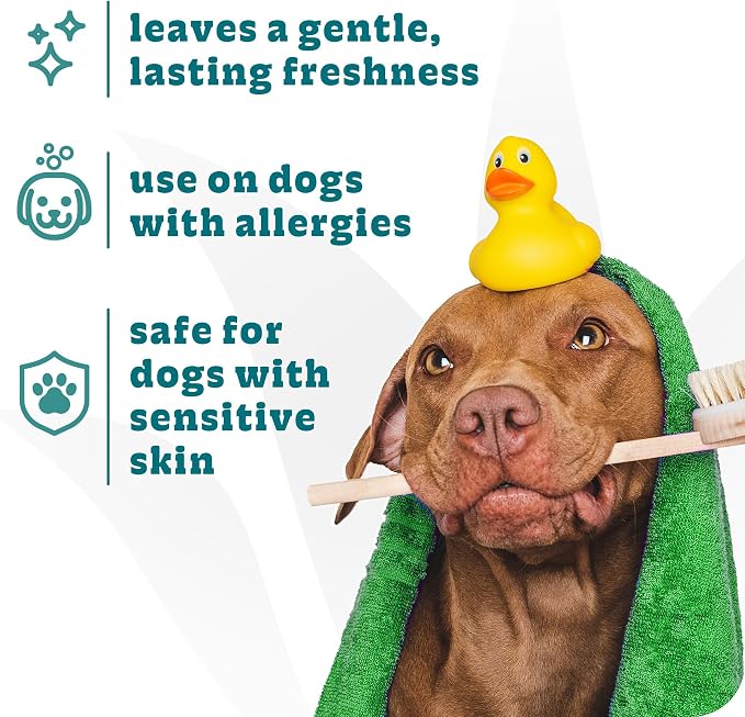 Espree Hypoallergenic Dog Shampoo & Conditioner, Sensitive Skin, 20oz | Professional Dog Grooming, Dog Grooming Supplies, Tearless Formula, Aloe Vera, Gentle Cleansing, Professional Salon Quality