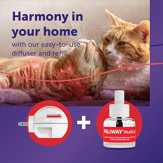FELIWAY MultiCat 30 Day Cat Calming Plug in Pheromone Diffuser Starter Kit,48ml - Helps Reduce Conflicts and Signs of Tension in Multi-Cat Households,(Pack of 2)