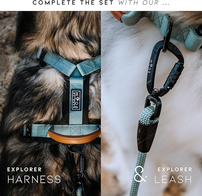 Made to ROAM Premium Dog Collar - Adjustable Heavy Duty Nylon Collar with Quick-Release Metal Buckle (Arizona Heartbeat, Classic Size 4)
