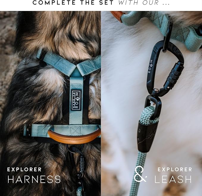 Made to ROAM Premium Dog Collar - Adjustable Heavy Duty Nylon Collar with Quick-Release Metal Buckle (Montana Moonrise, Classic Size 3)