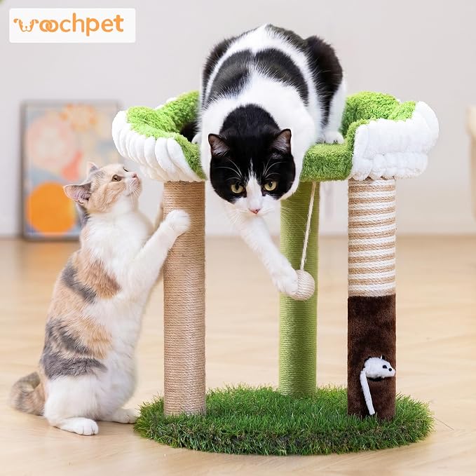 WOOCHPET 20" Small Cat Tree for Kittens, Cute Green Mini Kitty Tower with Removable Washable Perch Bed, 3 Sisal Scratching Posts, Toy Mouse for Small Indoor Cats