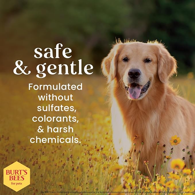 Burts Bees for Pets Oatmeal Dog Conditioner, Fragrance-Free, 10 Fl Oz, 6-Pk | Colloidal oat flour and honey moisturize and soften dry coats, pH-balanced, 95% natural origin