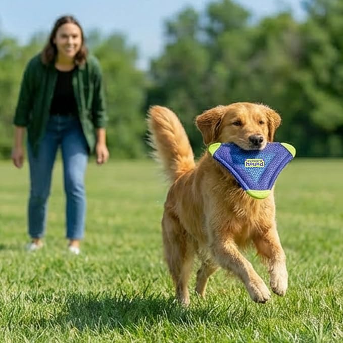 Outward Hound FlyFetch Flyer Dog Toy, Lightweight, Floats in Water, All Breeds, 10" x 11.2"