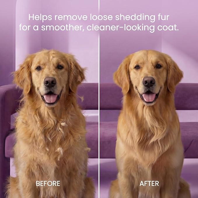 POODLIE Poodle Pet Dog Grooming Rake| Dematting Tool with Stainless Steel Shedding Comb for Pets | 2 Rows of Pins Gently Remove Loose or Tangled Hair from Undercoat | Purple Handle