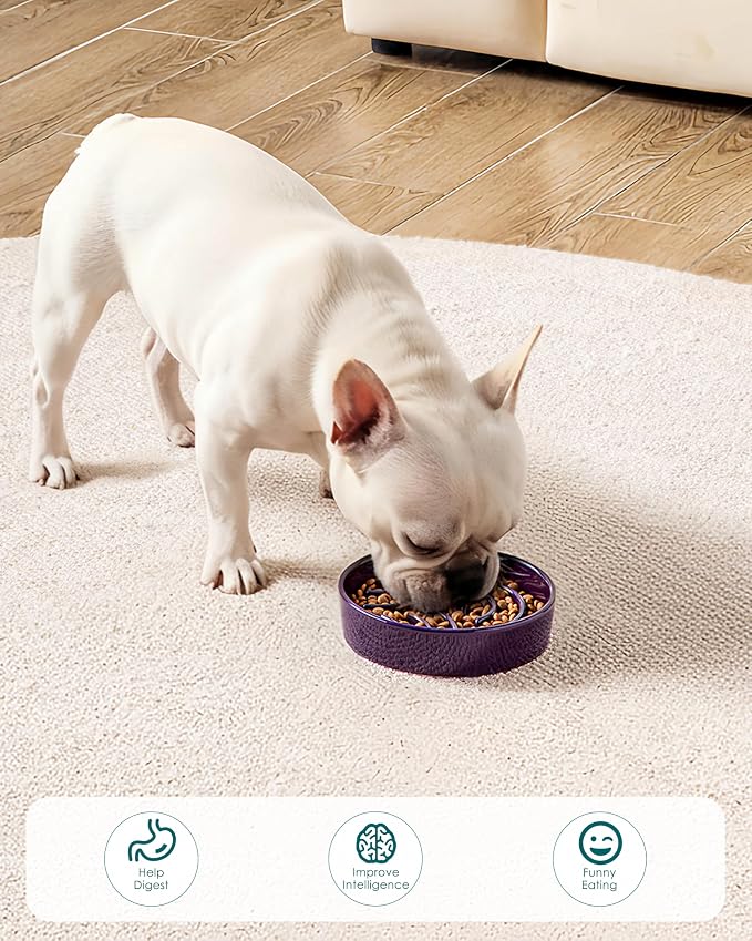vancasso Slow Feeder Dog Bowl, 0.6 Cup Ceramic Slow Feeding Food Dish for Small Breed, Puzzle Dog Food Bowl for Fast Eater, Dark Purple