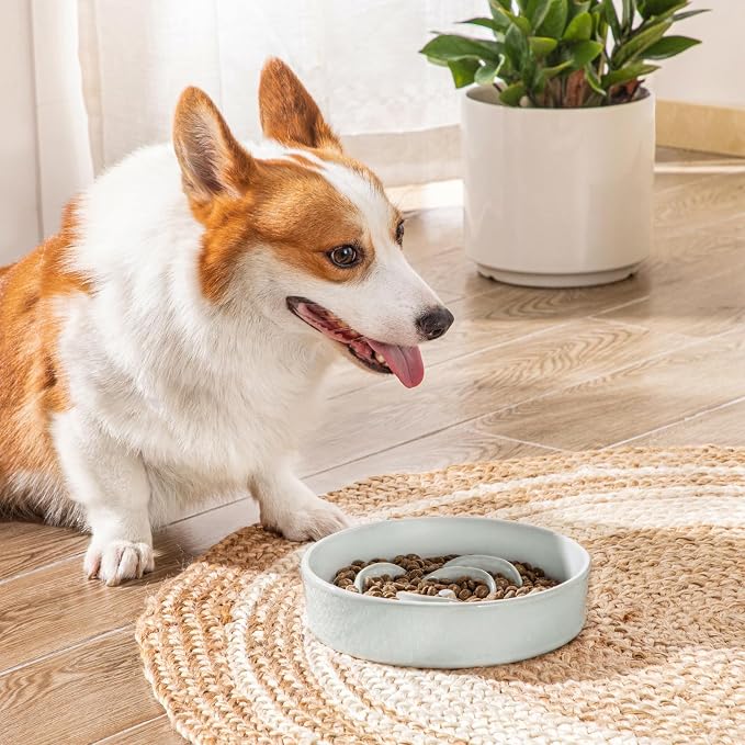 vancasso Slow Feeder Dog Bowl, 1.5 Cups Ceramic Dog Food Dish for Fast Eaters Medium Breed, Puzzle Bowl for Small Dogs and Cats, Grayish Cyan