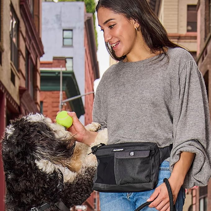Dog Walk & Train Sling Bag - Hands-Free Dog Walking & Training Bag with Treat Pouch, Poop Bag Holder & Phone Pocket - Crossbody or Fanny Pack, Adjustable Strap - Graphite