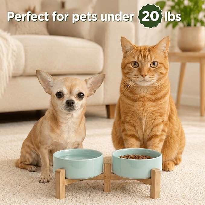 SPUNKYJUNKY Elevated Dog Bowls Ceramic, 5.1'' Dogs and Cat Food Water Bowls Raised with Non-Slip Bamboo Stand for Puppy Small Sized Breed Microwave Dishwasher Safe - 13.5 OZ,Light Green