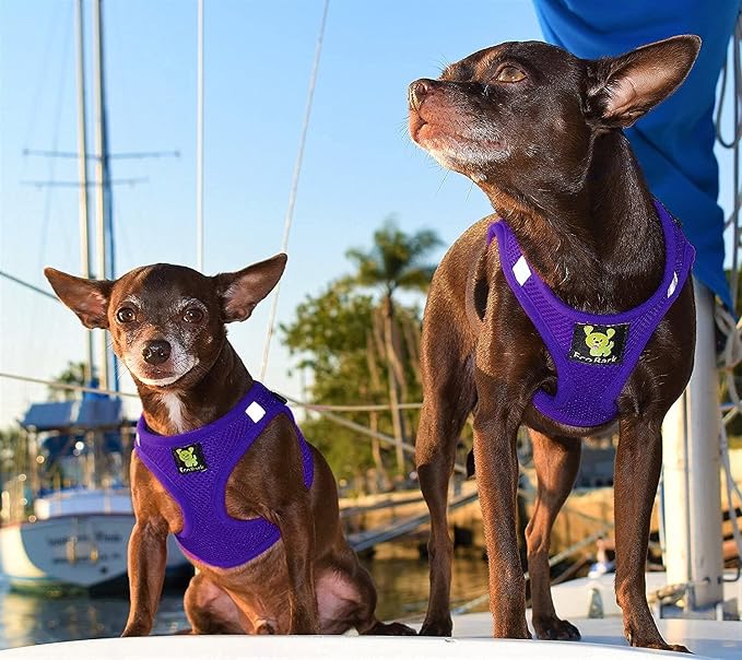 EcoBark Step in Dog Harness - Eco-Friendly Dog Harnesses for for Small & Medium Breed Dogs - Reflective and Adjustable Chest Body Halter Vest -Soft Luxurious Mesh (Purple, XL)