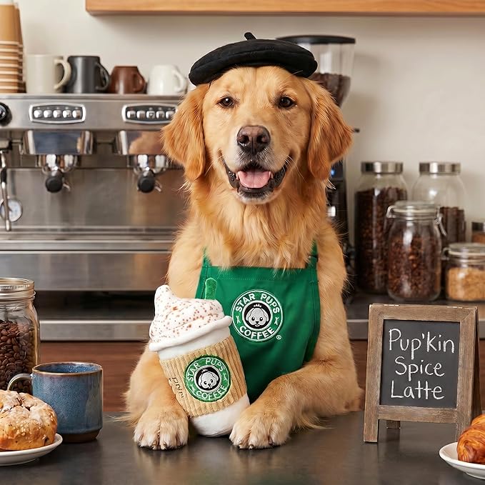 Nestpark Parody Star Pups Coffee Dog Toy Pup'kin Spice Latte - Funny Plush Squeaky Crinkle Dog Toys for Medium, Small and Large for Dog Birthday