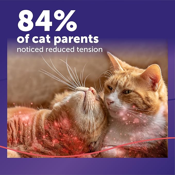 FELIWAY MultiCat Cat Calming Pheromone Diffuser Refill - 1 Pack | Helps Reduce Fighting, Tension & Aggression Between Cats due to Stress in Multi‑Cat Homes, 30 Day Supply