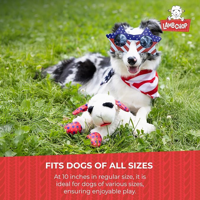 Multipet Lamb Chop Dog Plush Toy - Squeaky Toy for Small & Medium Dogs - Extra Soft Plush - Stuffed Animal for Cuddling & Playing (10", Cream, 5 Squeakers) (Pack of 2)