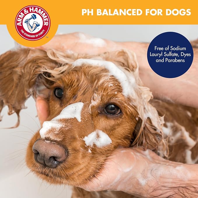 Arm & Hammer 2-in-1 Dog Shampoo & Conditioner, Cucumber Mint, 24 Fl Oz | Baking soda odor eliminating formula, pump dispenser included, value size, for daily grooming routine