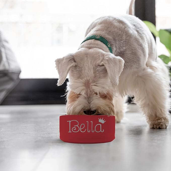 My Personal Memories Custom Personalized Stainless Steel Dog or Cat Bowl for Water and Food - Engraved Pet Bowl with Non Slip Bottom (Small - 18 Ounces, Red)