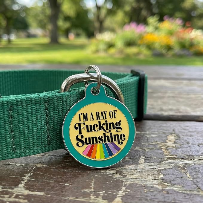 Bad Tags Personalized Dog and Cat ID Tags in 25+ Designs and 2 Sizes - 5 Lines of Custom Engraved Text - Funny Cute Personalized Pet Tags (I'm A Ray of F*cking Sunshine - Teal, Small (1 inch))