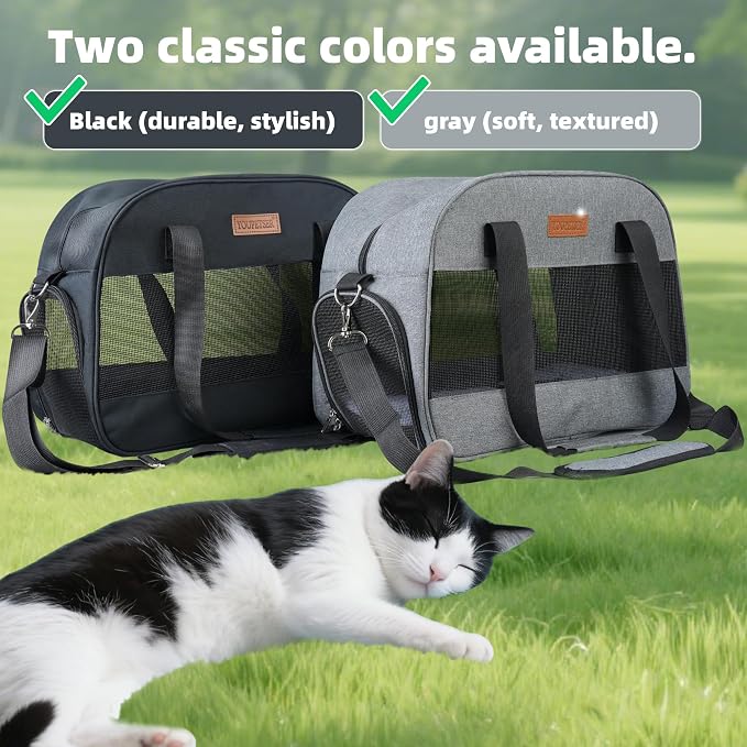 Cat Carrier for Small Cats Dogs, Soft-Sided Pet Carrier for Cats Puppies Small Pets, Lightweight Comfortable Travel Cat Dog Carrier (Black)