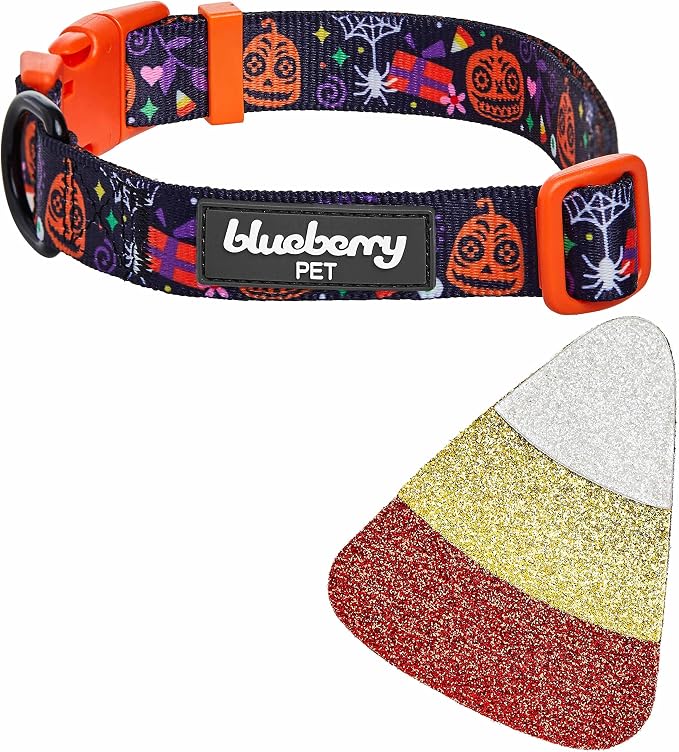 Blueberry Pet Halloween Candy Corn Adjustable Dog Collar with Detachable Glitter Accessory, Small, Neck 12"-16"