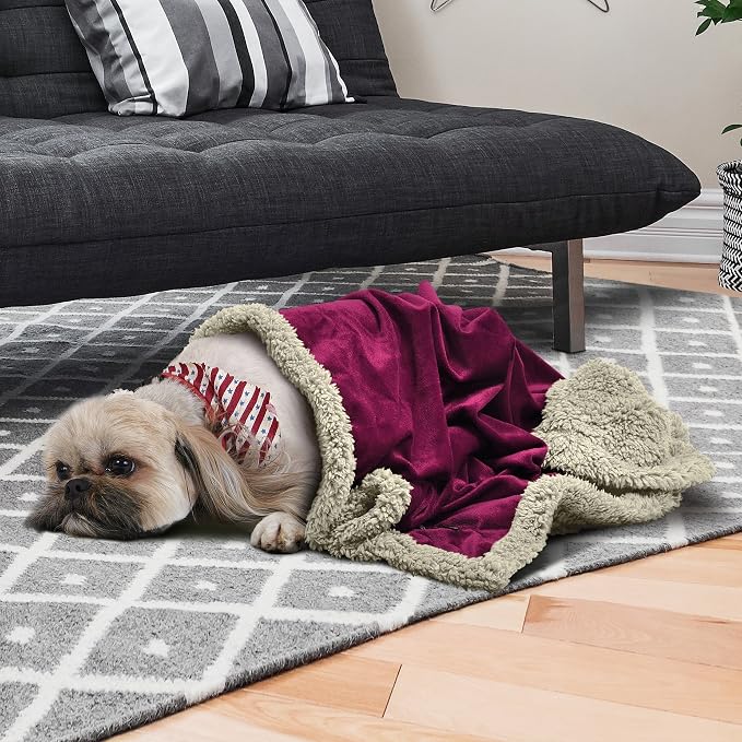 Pawsse Sherpa Puppy Blanket for Small Dogs Kitten, Warm Flannel Plush Pet Bed Blanket Reversible, 45"x30" Wine/Tan