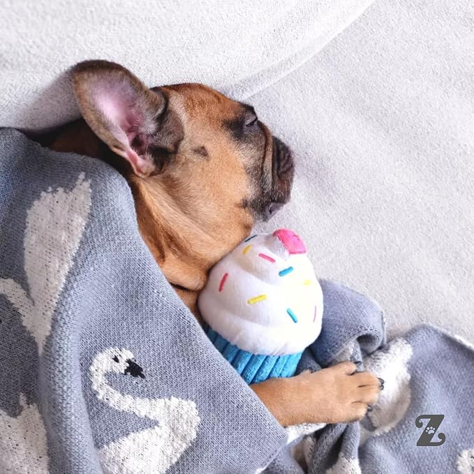 ZippyPaws Birthday Cupcake- Dog Squeaky Toys to Keep Them Busy, Funny Food Plush for Small, Medium, & Large Dogs, Cute Stuffed Puppy Toy, Pet Products, Gift for Dogs of All Breeds, Soft & Cuddly- Blue