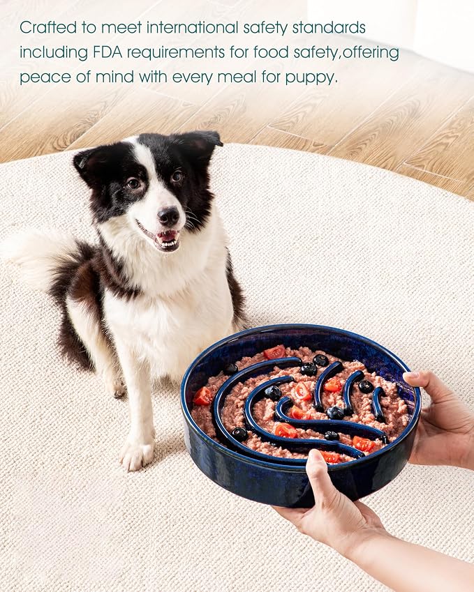 vancasso Slow Feeder Dog Bowl, 3 Cup Ceramic Slow Feeding Food Dish for Large Breed, Puzzle Dog Food Bowl for Fast Eater, Blue