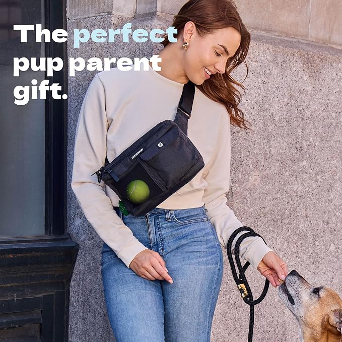Dog Walk & Train Sling Bag - Hands-Free Dog Walking & Training Bag with Treat Pouch, Poop Bag Holder & Phone Pocket - Crossbody or Fanny Pack, Adjustable Strap - Graphite