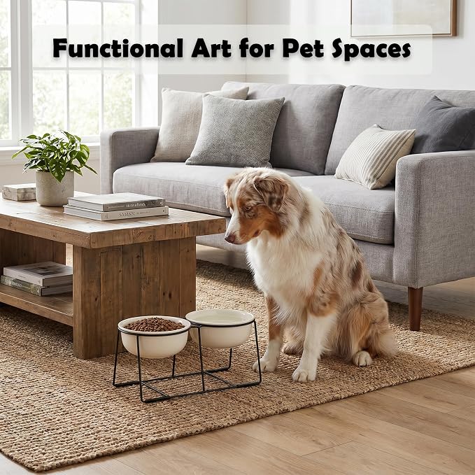 Ceramic Elevated Dog Bowl Set - Raised Double Feeding Bowls with Metal Stand - Pet Dishes for Medium and Large Dogs - 5.8 Cups - 47.3 fl oz - Beige