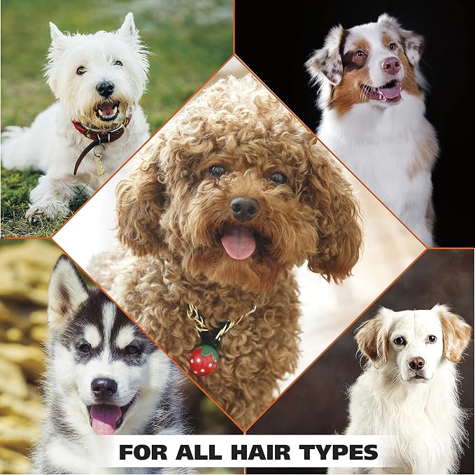 Wahl USA Dry Skin & Itch Relief Pet Shampoo for Dogs – Oatmeal Formula with Coconut Lime Verbena Scent - 64 Oz - Model 821004-050 (Pack of 4)