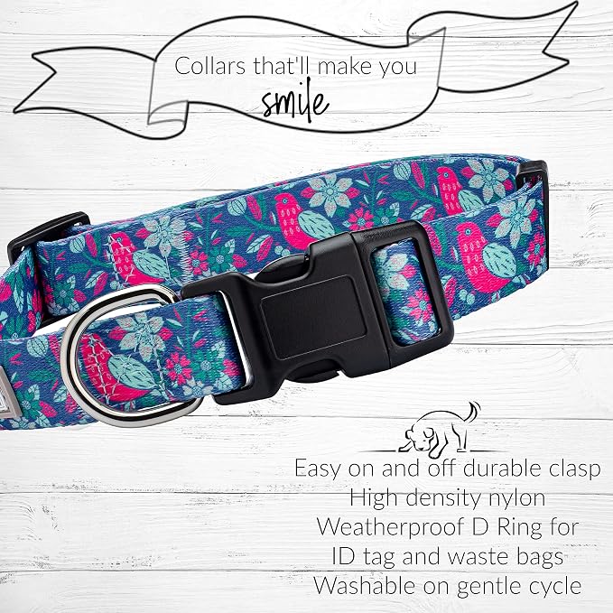 Lucky Love Dog - Adjustable Collar and Leash Set with Easy Click Buckle for Medium Dogs, Durable, & Comfortable Collar for Male & Female Dogs, Puppies & Adul t- CarrieBelle Combo, Medium