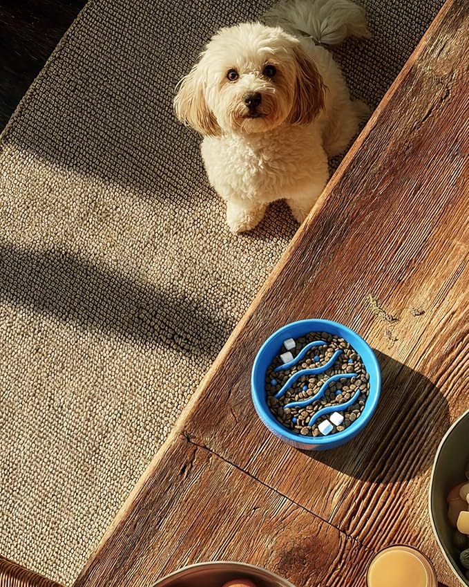 Ceramic Slow Feeder Dog Bowls for Small Dogs, 0.6 Cup Dog Slow Feeder for Fast Eater, Puzzle Maze Bowl, 14oz, 6in, Baby Blue