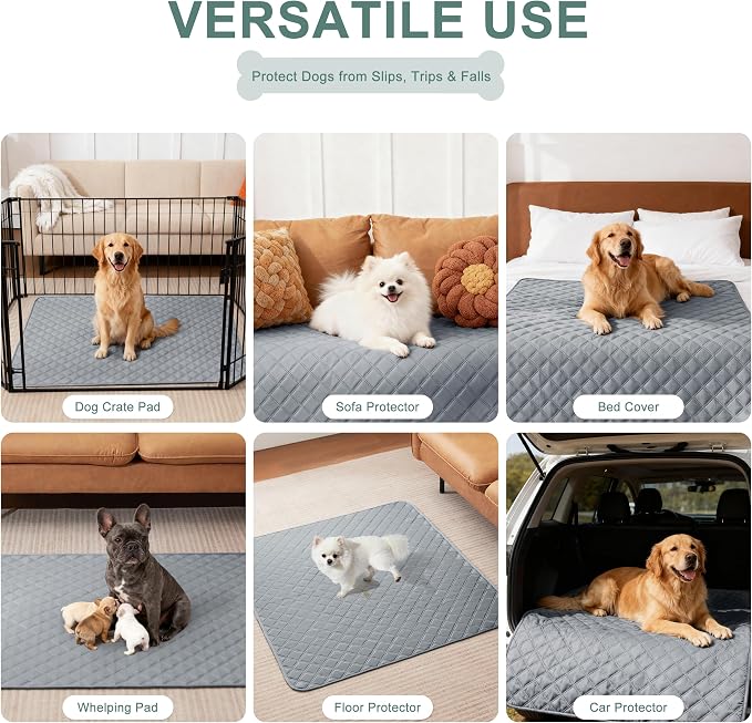 Eterish Reusable Washable Pee Pads for Dogs Extra Large 36'' x 48'' 2 Pack, Absorbent Pet Puppy Dog Training Pads Non-Slip, Waterproof Whelping Potty Pads for Dogs Leak-Proof