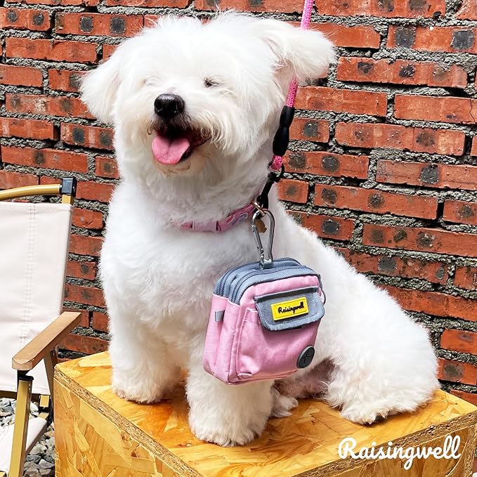 Raisingwell Dog Treat Pouch for Pet Walking and Training with Clicker Poop Bags and Three Bags Design Small Fanny Zipper Pack Holder for Puppy Snack Dispenser Kit for Leash and Outdoor Use (Pink)