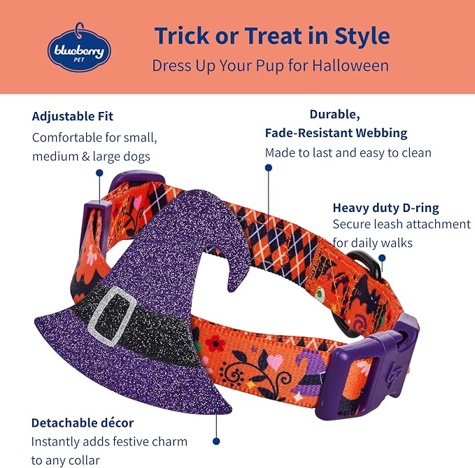 Blueberry Pet Halloween Witch Hat Adjustable Dog Collar with Detachable Glitter Accessory, Medium, Neck 14.5"-20"