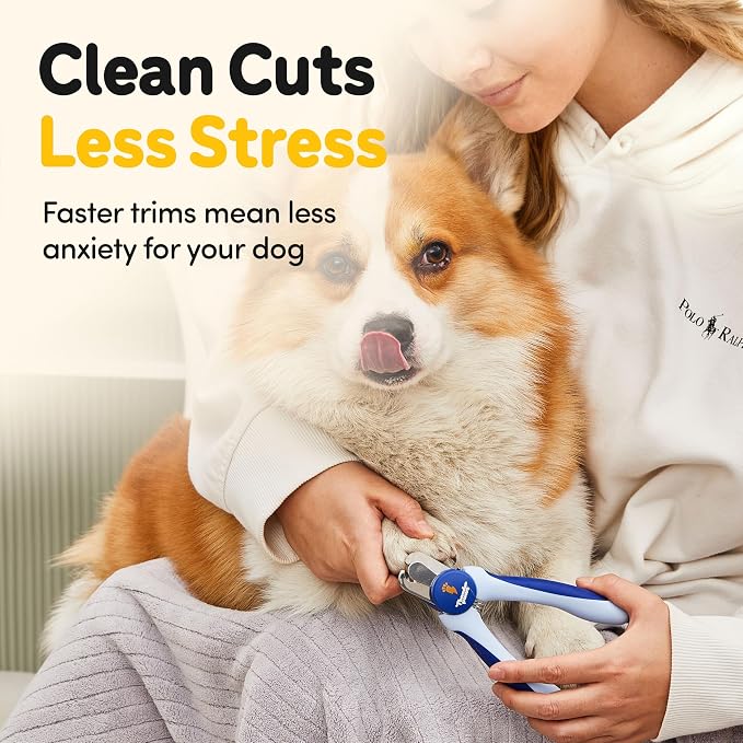 LED Dog Nail Clippers with Light Illumination, Trimmers with Protective Guard, Safety Lock and Nail File - Suitable for Large and Small Dogs & Cats (Blue)