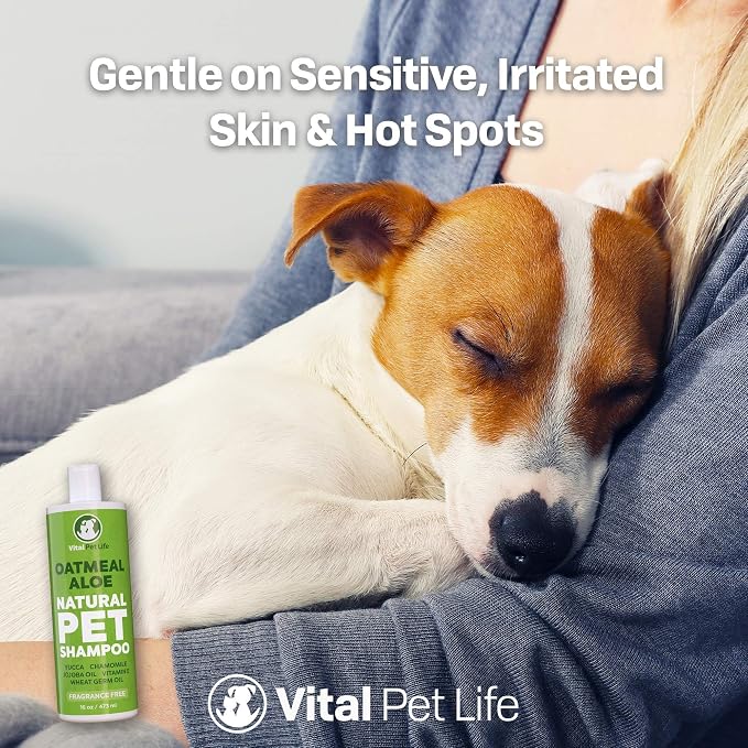Oatmeal Shampoo for Dogs - Helps Dry Coats & Itchy Sensitive Skin, 16 oz | Aloe Vera, Chamomile, Jojoba Oil, Vitamin E, No Parabens or Artificial Dyes